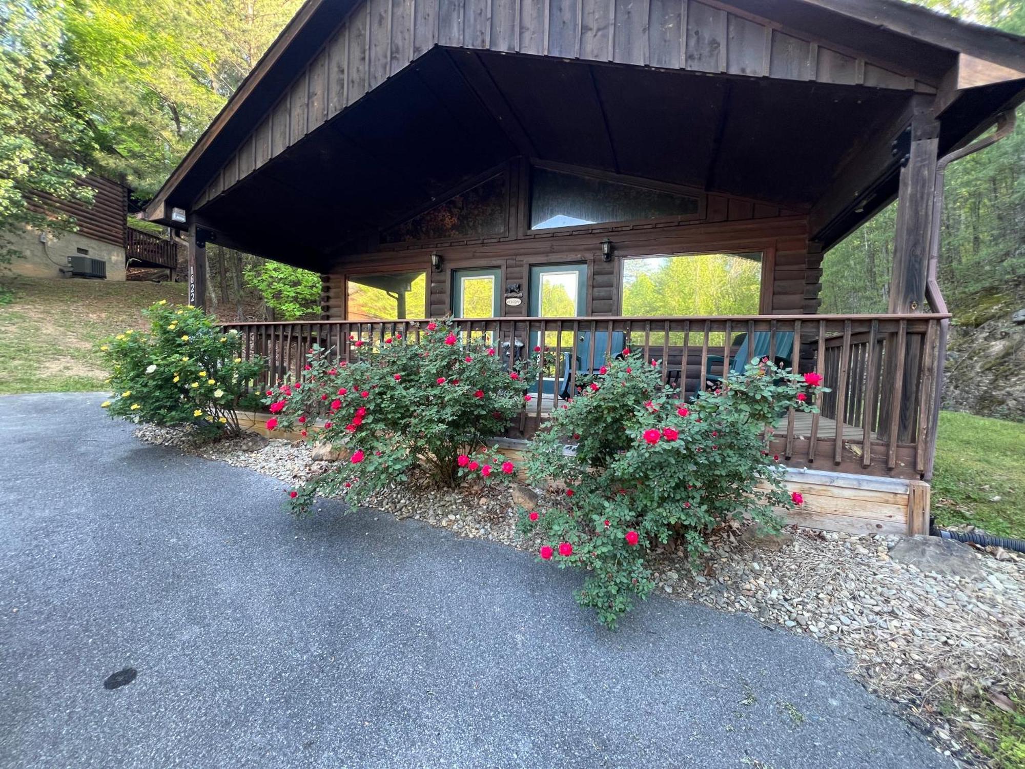 Beary Tale! Your Happily Ever After Starts Here! Sevierville Esterno foto
